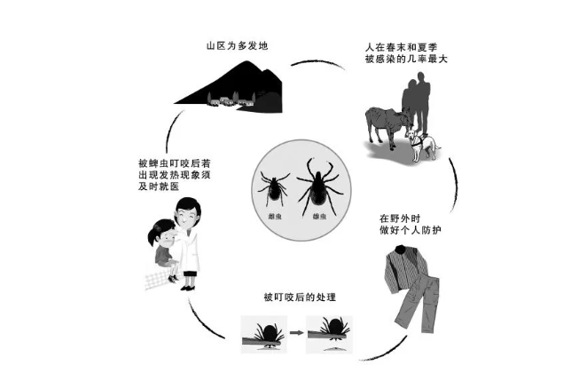 【科室介绍】医学检验科：“蜱虫”携带“布尼亚” 核酸检测咱不怕