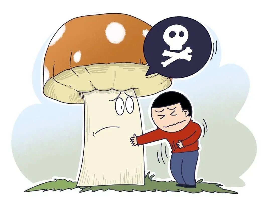 【健康宣教】大自然的馈赠？警惕野蘑菇中毒！