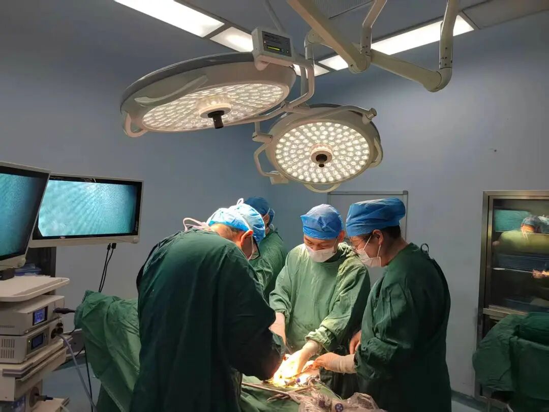 【医院动态】突破高龄肥胖与肿瘤巨大难关，我院成功实施高难度腹腔镜左半结肠癌根治术