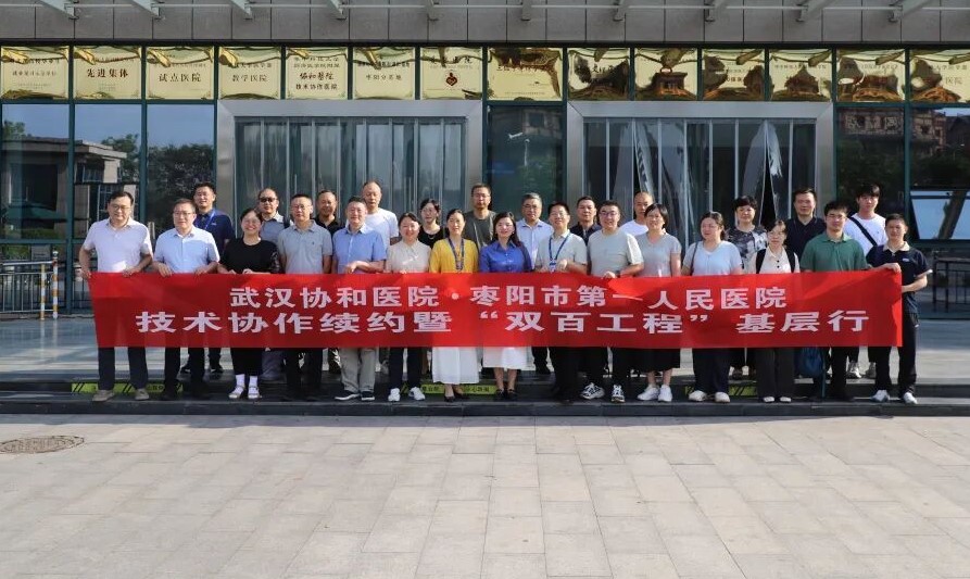 【医院动态】携手协和，共筑健康枣阳